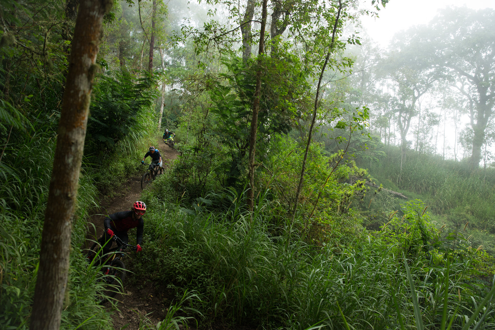 groups of mountain bikers riding through the forest on a rainy morning